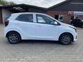 Kia Picanto PE2 1.0 MT VISION Klima Navi Rückfahrkamera Blanco - thumbnail 8