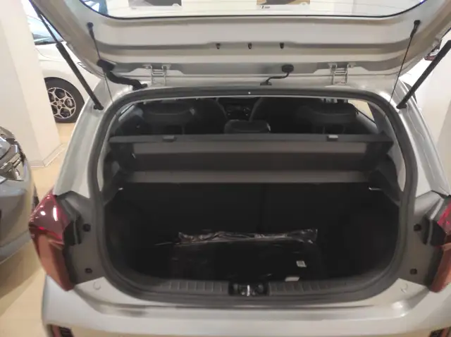Kia Picanto view 11