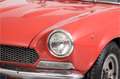 Fiat 124 Spider SPORT 1800 Rood - thumbnail 45