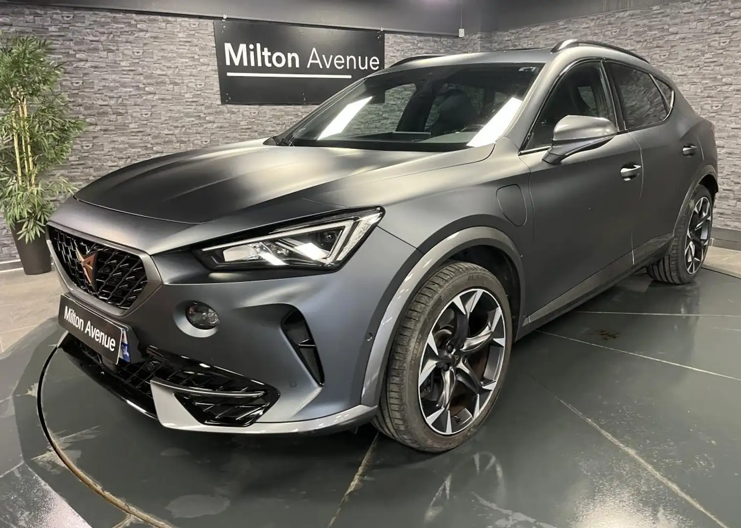 CUPRA Formentor Formentor 1.4 e-Hybrid - 245 - BV DSG 6  VZ Gris - 1