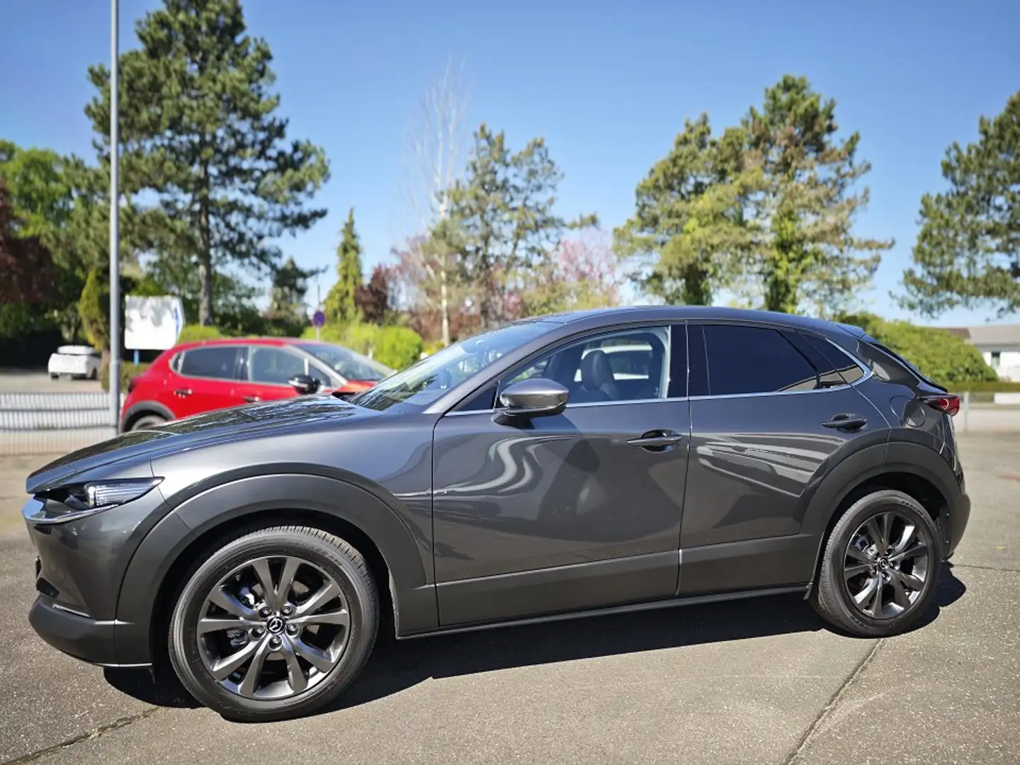 Mazda CX-30 2.0L e-SKYACTIV X 186ps Gris - 2