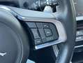 Jaguar F-Pace 2.0t AWD Premium R-Sport Edition panodak,zwartleer Bleu - thumbnail 17