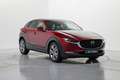 Mazda CX-30 2.0 Skyactiv-G Evolution 2WD 90kW Rojo - thumbnail 3