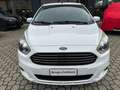 Ford Ka/Ka+ Plus 1.2 70cv Bianco - thumbnail 13