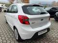 Ford Ka/Ka+ Plus 1.2 70cv Bianco - thumbnail 5
