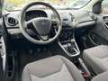 Ford Ka/Ka+ Plus 1.2 70cv Bianco - thumbnail 15