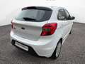 Ford Ka/Ka+ Plus 1.2 70cv Bianco - thumbnail 3