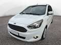 Ford Ka/Ka+ Plus 1.2 70cv Bianco - thumbnail 2