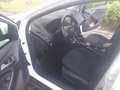 Ford Focus Focus Traveller 1,5 TDCi ECOnetic Trend Trend Weiß - thumbnail 4