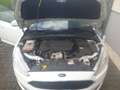 Ford Focus Focus Traveller 1,5 TDCi ECOnetic Trend Trend Weiß - thumbnail 7