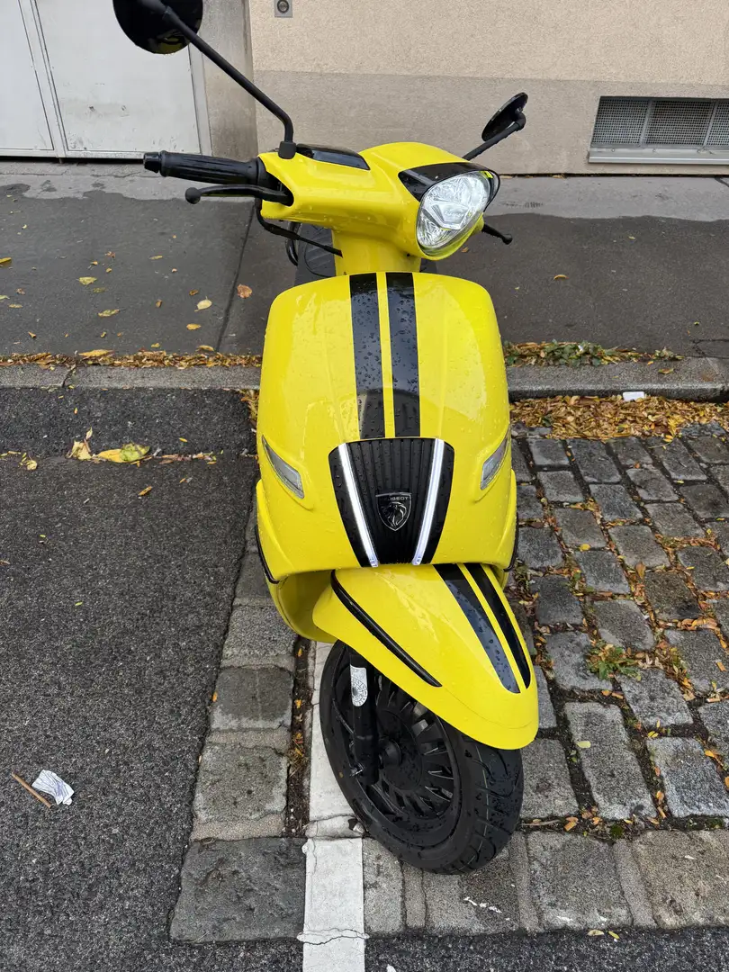 Peugeot Django 50 - 1