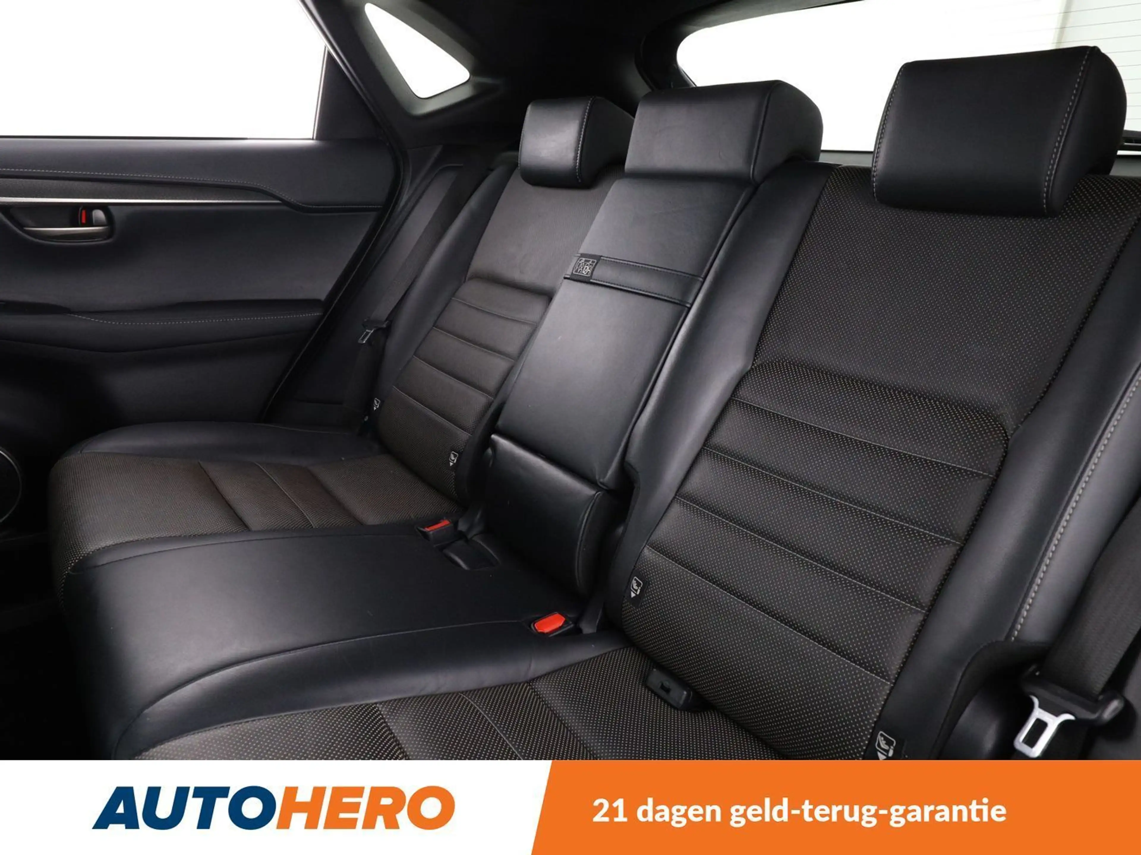 Lexus NX 300h NX 300h E-Four F Sport — photo 14