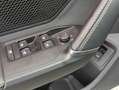 CUPRA Formentor 2.0 TDI PANO*MATRIX*SENNH.*DINAM*360 Grau - thumbnail 11
