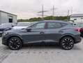 CUPRA Formentor 2.0 TDI PANO*MATRIX*SENNH.*DINAM*360 Grau - thumbnail 6