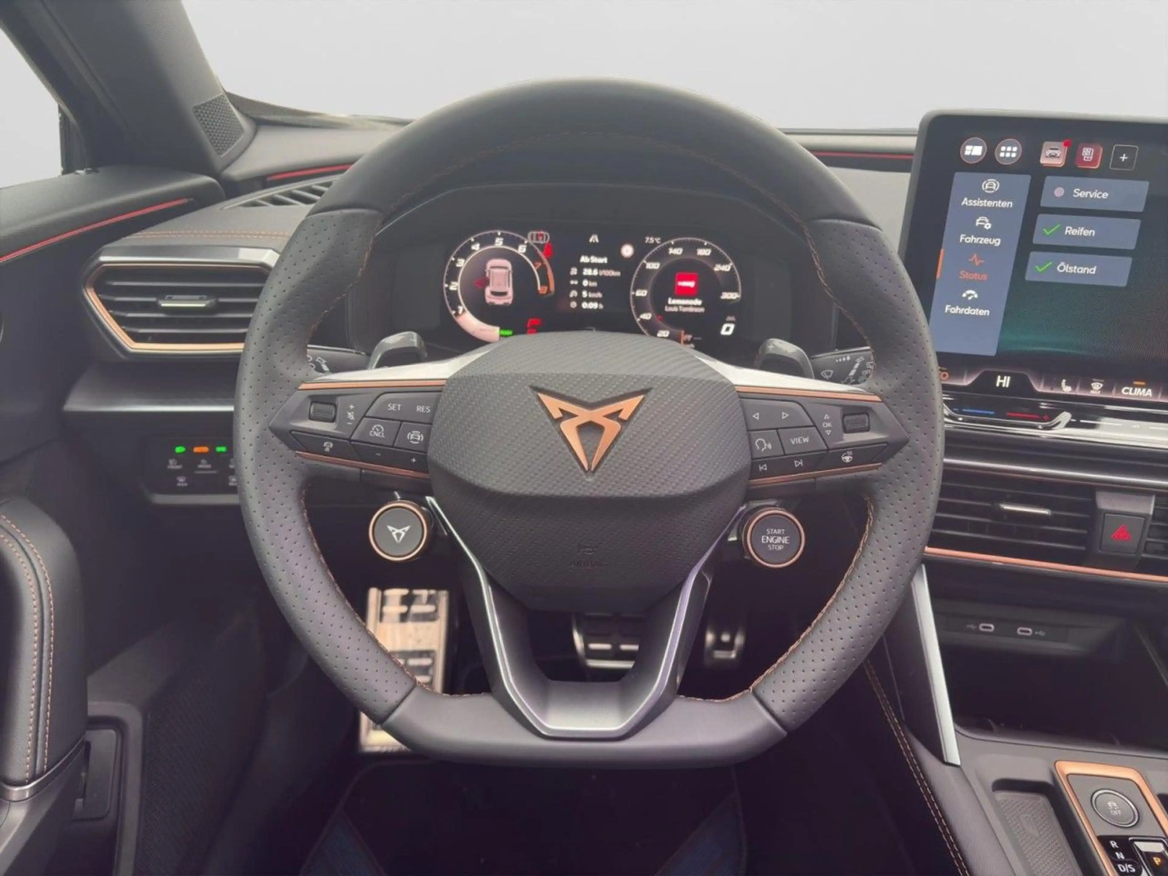 CUPRA Formentor eTSI DSG AHK 360Kamera MatrixLED SHZ — photo 13