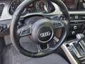 Audi A4 allroad 2.0 tdi Business Plus 143cv multitronic Bianco - thumbnail 6