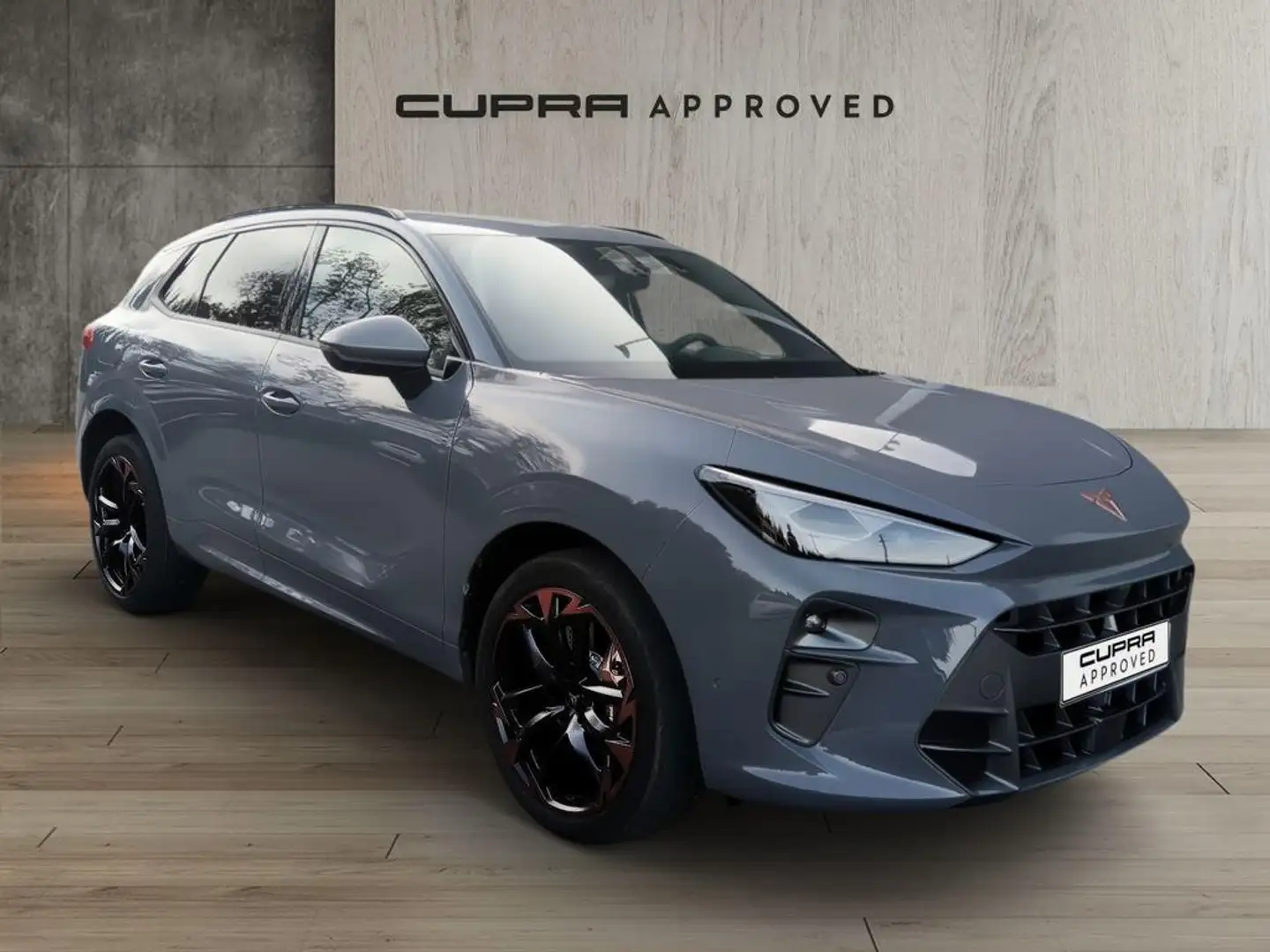 CUPRA Terramar 2.0 TSI VZ 195kW DSG 4Drive Grau - 1