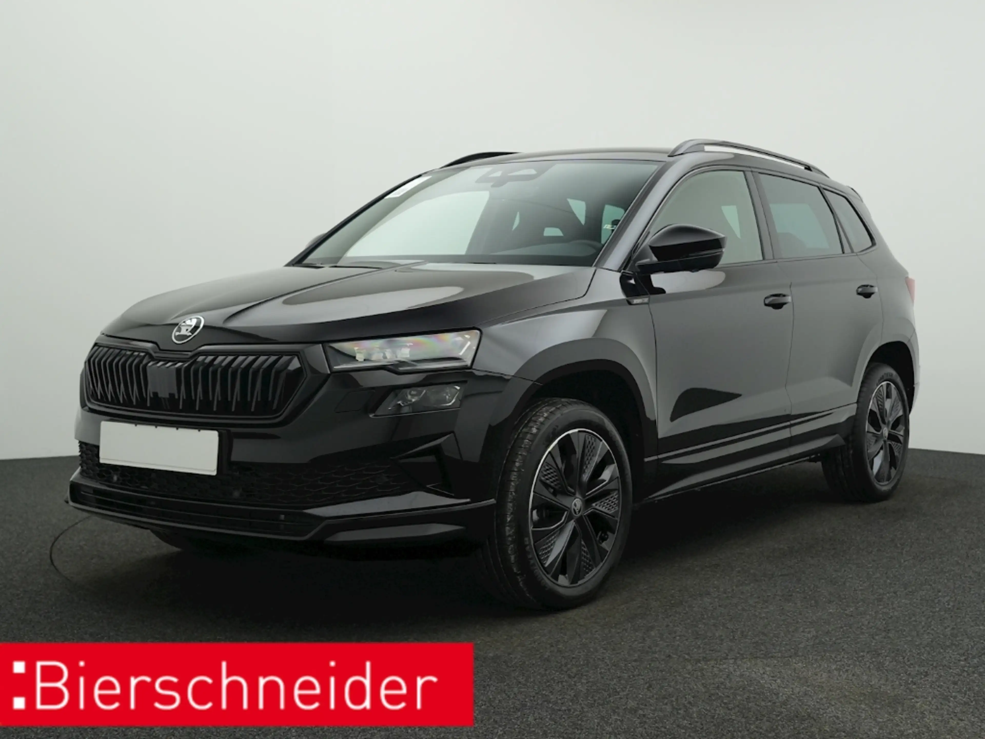 Skoda Karoq 1.5 TSI DSG Sportline AHK KAMERA MATRIX ACC