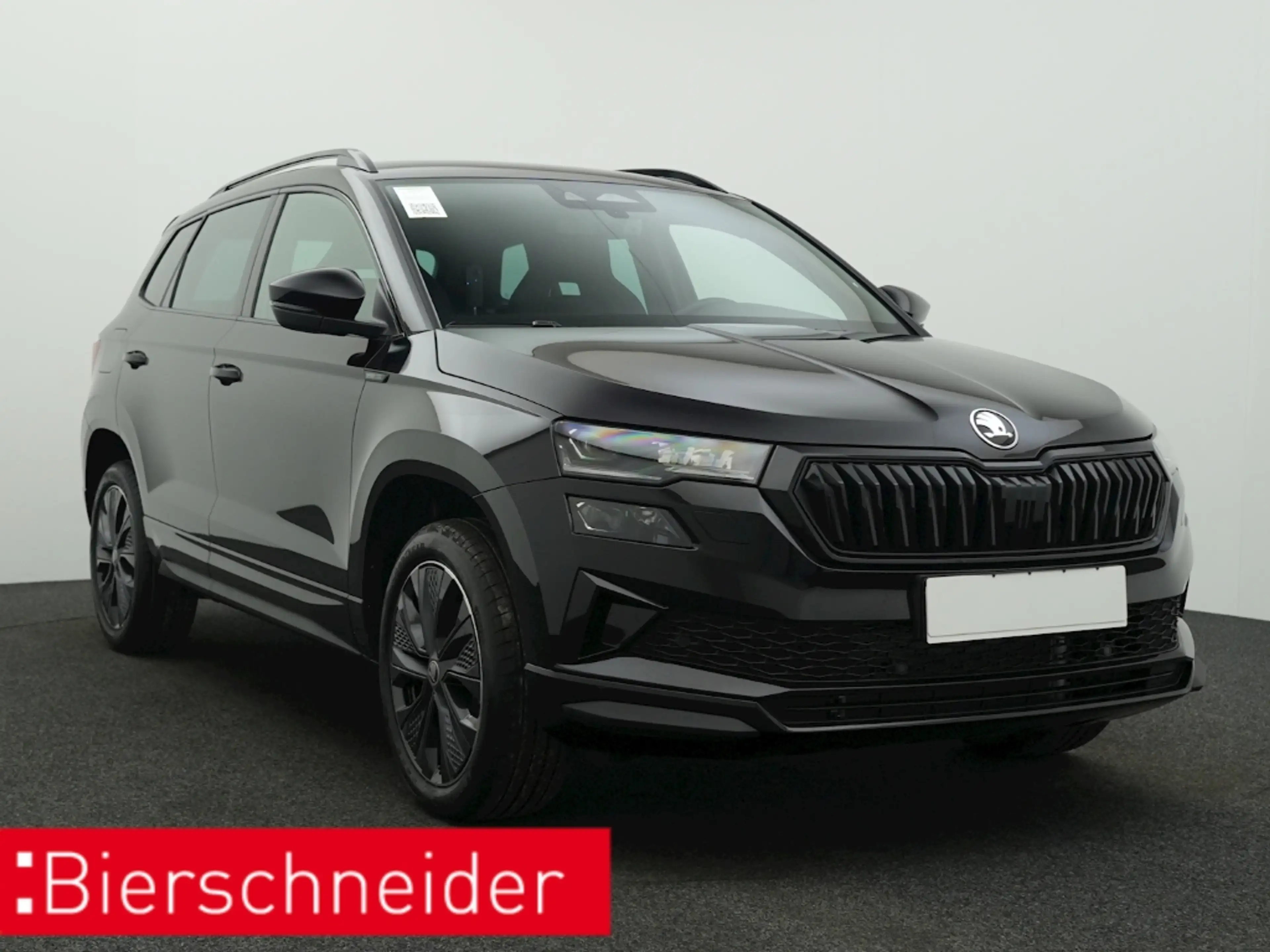Skoda Karoq 1.5 TSI DSG Sportline AHK KAMERA MATRIX ACC — photo 8