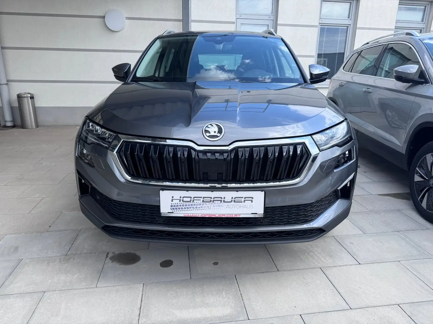 Skoda Karoq Selection TSI Grau - 2