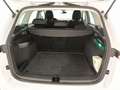 Skoda Karoq 2.0 tdi evo style 115cv dsg Bianco - thumbnail 13