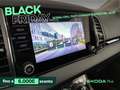 Skoda Karoq 2.0 tdi evo style 115cv dsg Bianco - thumbnail 10