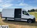 Mercedes-Benz Sprinter 317 CDI RWD L3H2 Weiß - thumbnail 18