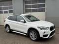 BMW X1 xDrive18d Sport Line Aut. Weiß - thumbnail 14
