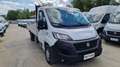 Fiat Ducato MAXI L4 CASSONE FISSO 2.3 MJT 180CV - 2021 Bianco - thumbnail 6