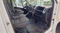 Fiat Ducato MAXI L4 CASSONE FISSO 2.3 MJT 180CV - 2021 Bianco - thumbnail 7