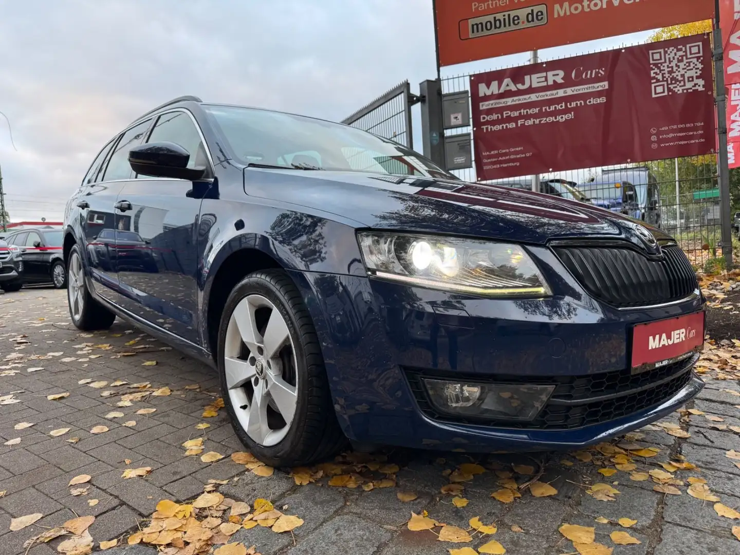 Skoda Octavia Combi Elegance 4x4*BI-XENON*NAVI*PDC Blau - 1