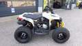 Can Am Renegade 110 STD | keine Xxc DS 90 Kinderquad siva - thumbnail 10