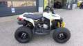 Can Am Renegade 110 STD | keine Xxc DS 90 Kinderquad Szary - thumbnail 11