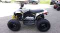 Can Am Renegade 110 STD | keine Xxc DS 90 Kinderquad Gris - thumbnail 5