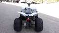 Can Am Renegade 110 STD | keine Xxc DS 90 Kinderquad Gris - thumbnail 7