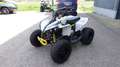 Can Am Renegade 110 STD | keine Xxc DS 90 Kinderquad Grey - thumbnail 3