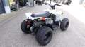 Can Am Renegade 110 STD | keine Xxc DS 90 Kinderquad Szary - thumbnail 9