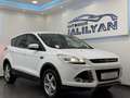 Ford Kuga 2,0 TDCi Titanium 4x4 Aut.NAVI,AHK,PDC,TEMPOMAT Weiß - thumbnail 6