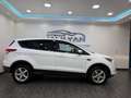Ford Kuga 2,0 TDCi Titanium 4x4 Aut.NAVI,AHK,PDC,TEMPOMAT Weiß - thumbnail 7