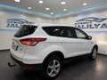 Ford Kuga 2,0 TDCi Titanium 4x4 Aut.NAVI,AHK,PDC,TEMPOMAT Weiß - thumbnail 11