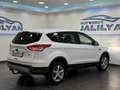 Ford Kuga 2,0 TDCi Titanium 4x4 Aut.NAVI,AHK,PDC,TEMPOMAT Weiß - thumbnail 5