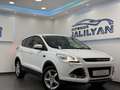 Ford Kuga 2,0 TDCi Titanium 4x4 Aut.NAVI,AHK,PDC,TEMPOMAT Weiß - thumbnail 3