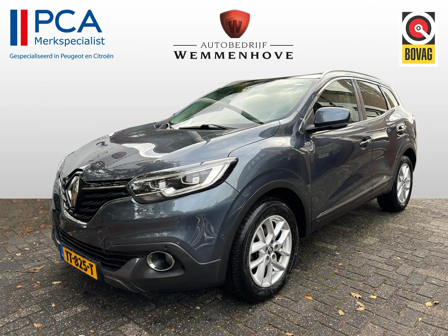 Renault Kadjar 1.2 TCe Intens Gris - 1
