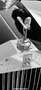 Rolls-Royce SILVER CLOUD II Gris - thumbnail 9