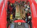 Austin-Healey 3000 Mark III BJ8 Rot - thumbnail 21