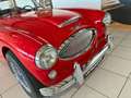 Austin-Healey 3000 Mark III BJ8 Rot - thumbnail 11