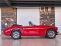 Austin-Healey 3000 Mark III BJ8 Rot - thumbnail 3