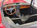 Austin-Healey 3000 Mark III BJ8 Rot - thumbnail 13