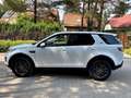 Land Rover Discovery Sport Discovery Sport TD4 Aut.HSE Weiß - thumbnail 5