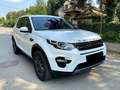 Land Rover Discovery Sport Discovery Sport TD4 Aut.HSE Weiß - thumbnail 1